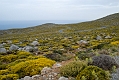 247_Kreta Wschodnia